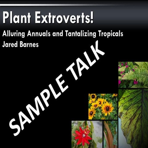 Plant Extroverts! Alluring Annuals and Tantalizing Tropicals