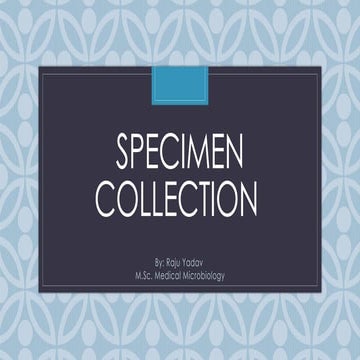 Cerobro Spinal Fluid collection and Analysis Process