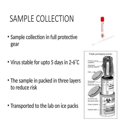Procedure for Sample collection for COVID | PPTX