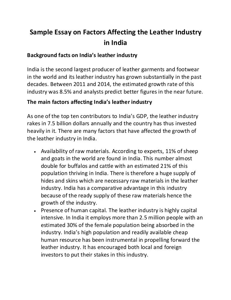 Leather industry essay 07 picture