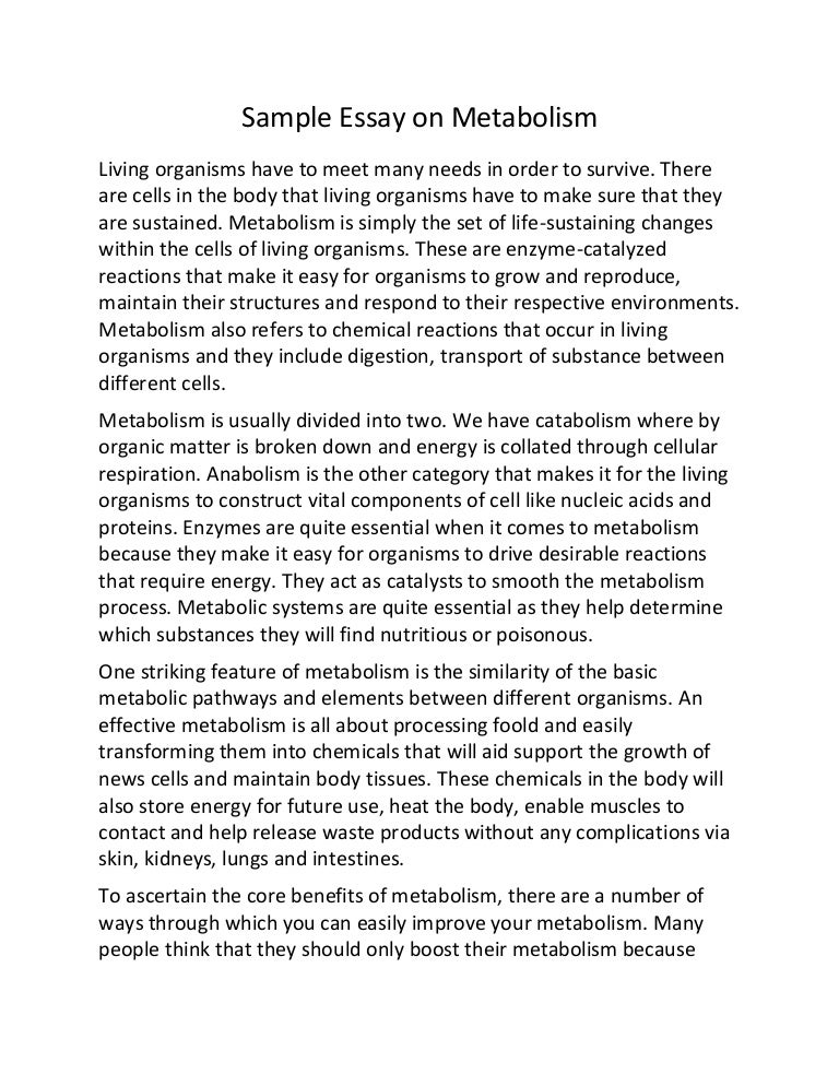 How do muscles contract image