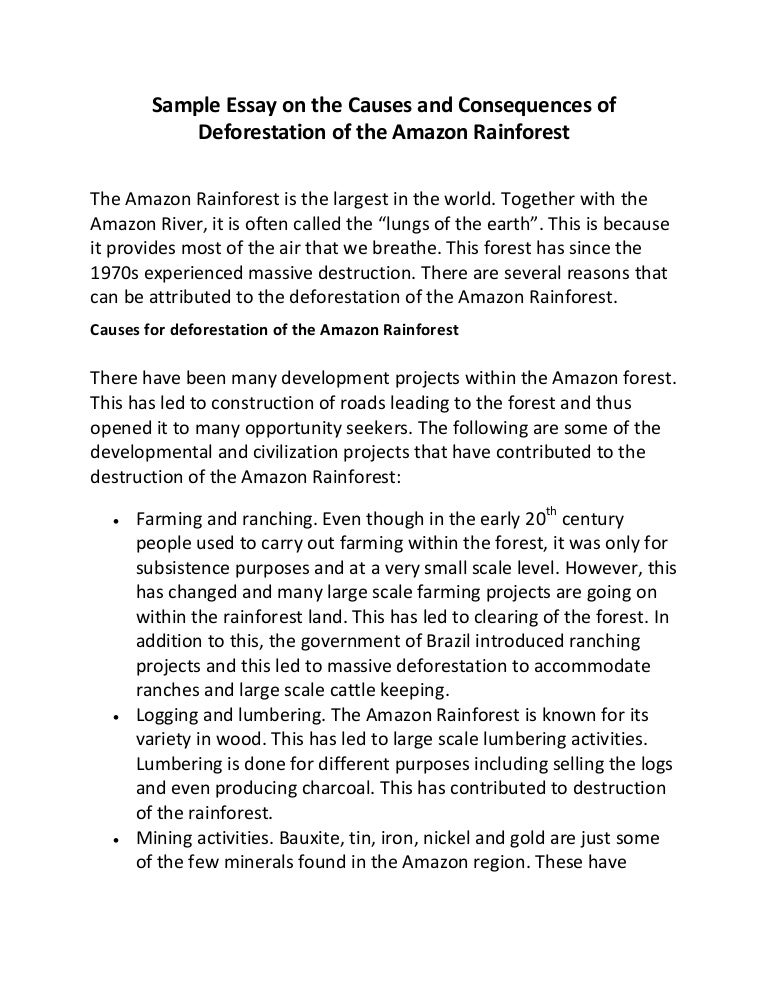 Argumentative essay rainforest image