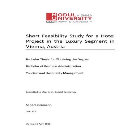 Analysis of a MSME | PDF