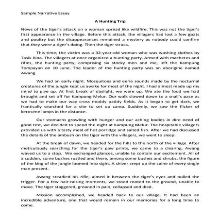 Sample narrative essay