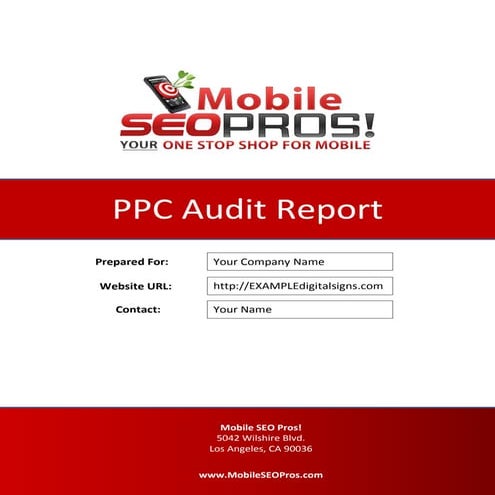 Sample PPC Audit Report