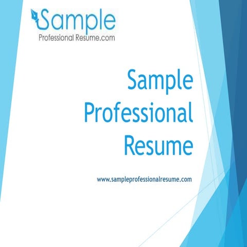 Professional Resume Samples