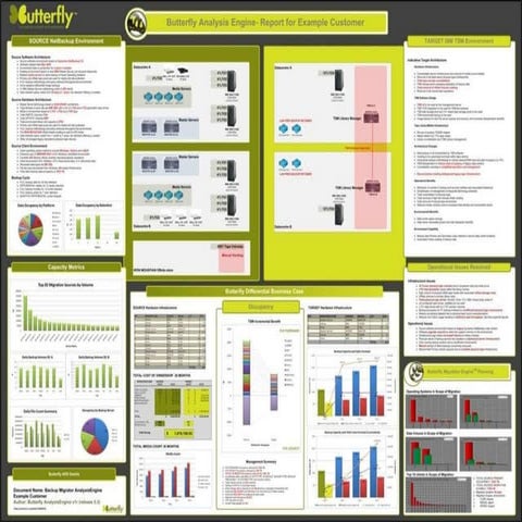 Sample Butterfly Report