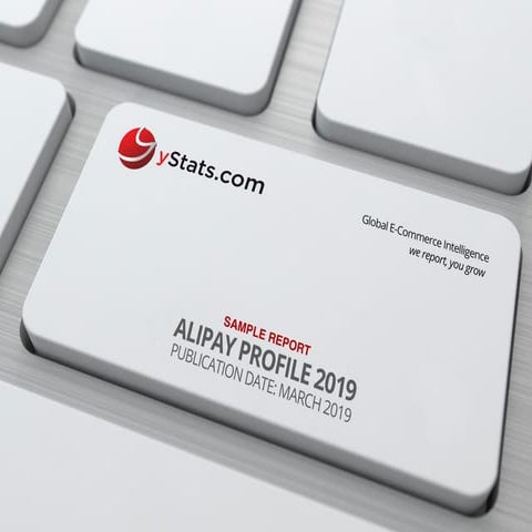 Sample Report: Alipay Profile 2019