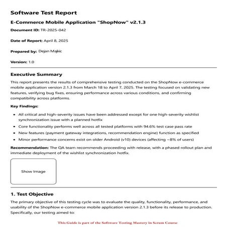 Sample Software Test Report in PDF (Free Download) | PDF