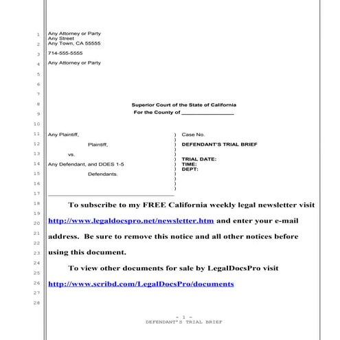 Sample trial brief for California civil case