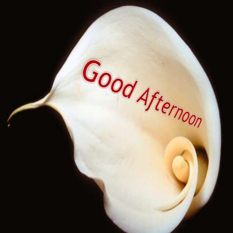 Sampling techniques new