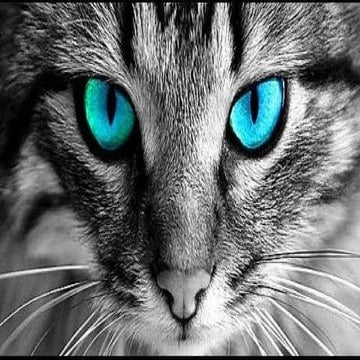 Samprapti - Samyak prapti.pdf