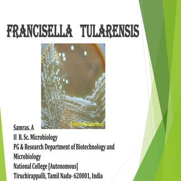 Francisella tularensis