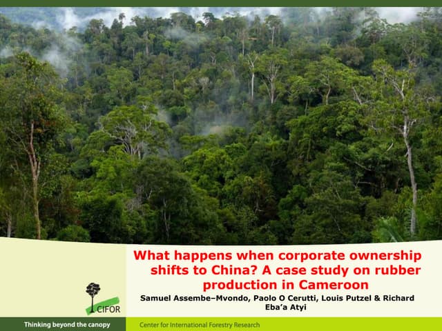 thumbnail of  What happens when corporate ownership shifts to China? A case study on rubber production in Cameroon