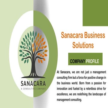 Sanacara Business Solutions Company _v2.1.pptx