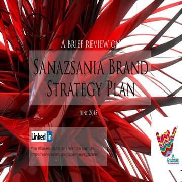 Sanazsania Brand Strategy Plan (Brief Overview)