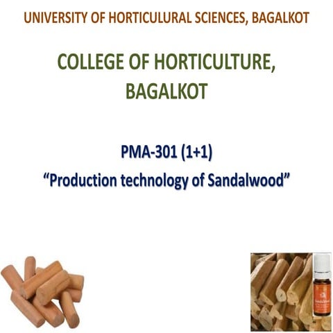 Sandalwood PPT.pptx