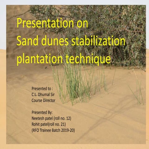 Sand dune stablization in Jaisalmer India
