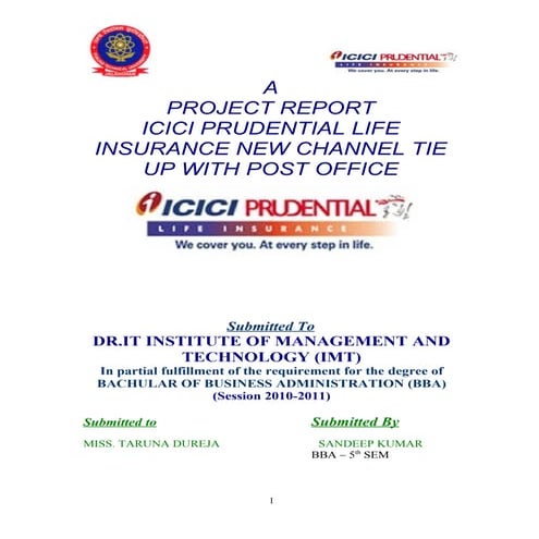 project report