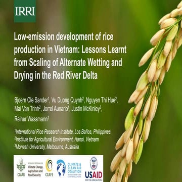 Training on Alternate Wetting and Drying (awd) in rice | PPTX