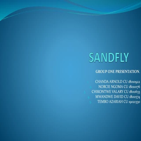 SANDFLY.pptx