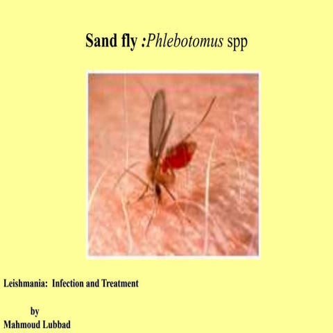 sandfly_powerpoint_presentation_leishmania_14_oct_2012.ppt