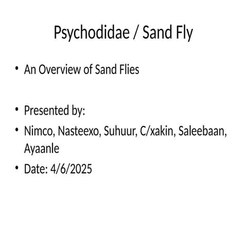 Sand_Fly_Presentation_Finalkjhfkjasdhfkjasdhk.pptx
