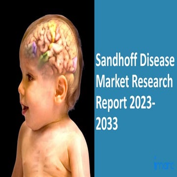 Sandhoff Disease Market 2023: Epidemiology, Industry Trends, Size ...