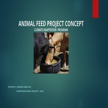 SANDILE animal feed project for the mostlty needy rural animal areas | PPTX