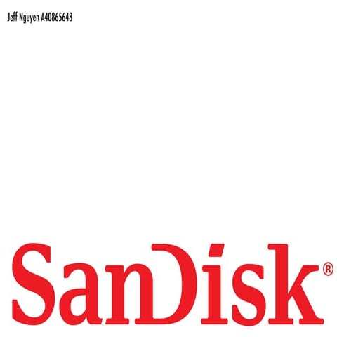 Sandisk | PDF