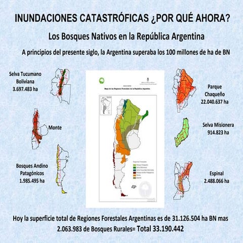Sandra basconcelo cts inundaciones