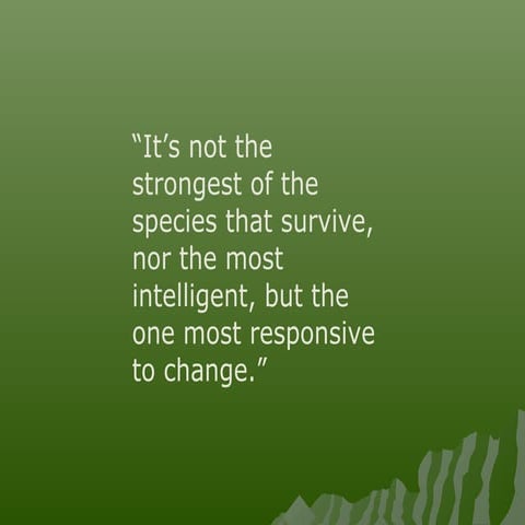 Sandra Reid Breakout