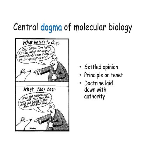 Molecular Biology:Central Dogma of Molecular Biology