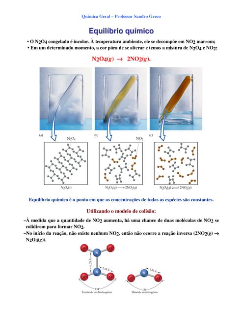 Sandrogreco EquilíBrio QuíMico