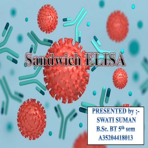 Sandwich elisa