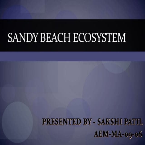 Sandy beach ecosystem.ppt