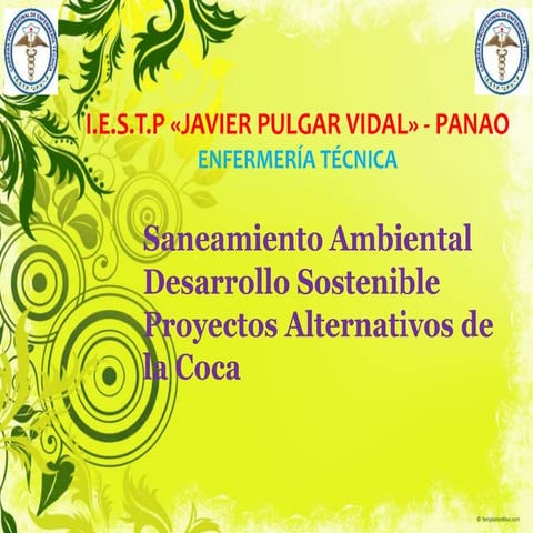 SANEAMIENTO AMBIENTAL Y PROYECTO ALTERNATIVO DE LA COCA