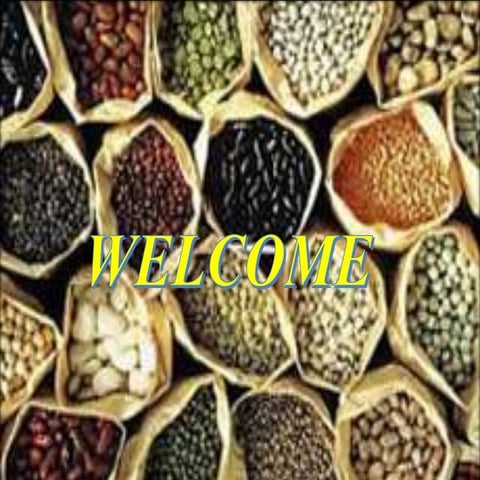 seed storability and viability 