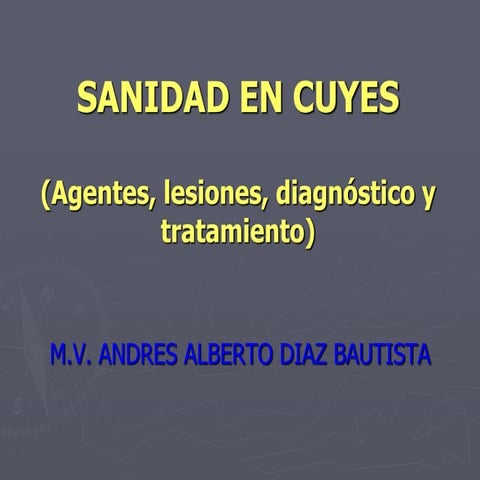 Sanidad  Cuyes