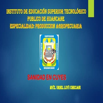 enfermedades de los cuyes (sanidad)