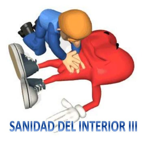 SANIDAD INTERIOR III. LA AMARGURA