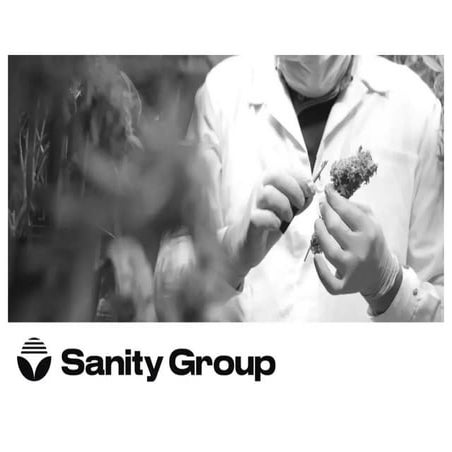 Sanity Group