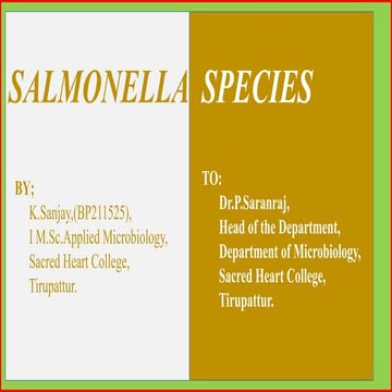 Salmonella sp.,