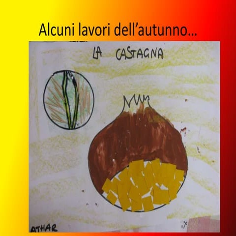 ottobre novembre san pietro