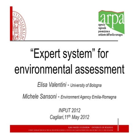 Sansoni & Valentini - input2012