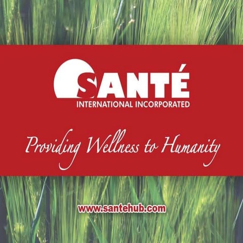 Sante barley