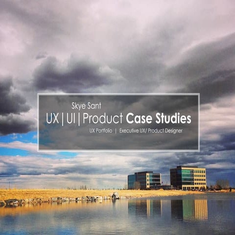 Skye Sant - executive overview: ux/product case studies