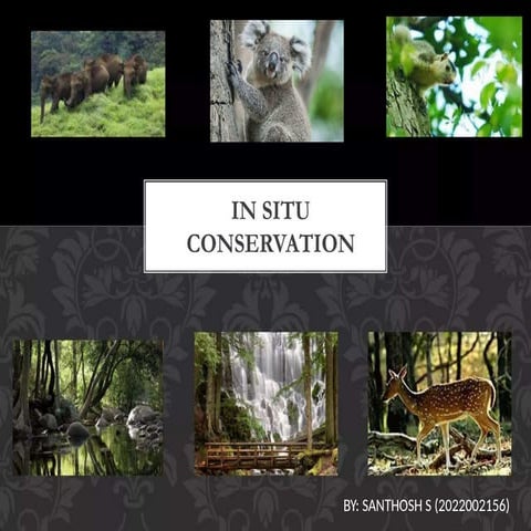 SANTHOSH S - 2022002156 (INSITU CONSERVATION).pptx