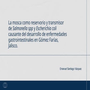 SANTIAGO-MCP-VESPERTINO-EXPOSICION.pptx1