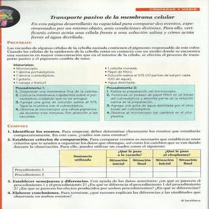 Santillana   experimentos célula